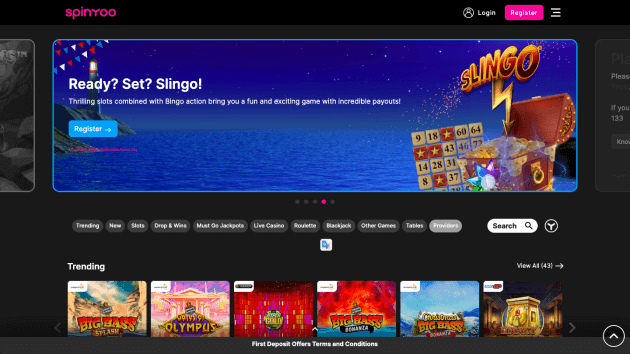 SpinYoo website screenshot desktop