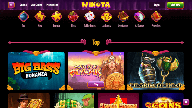Winota website screenshot desktop